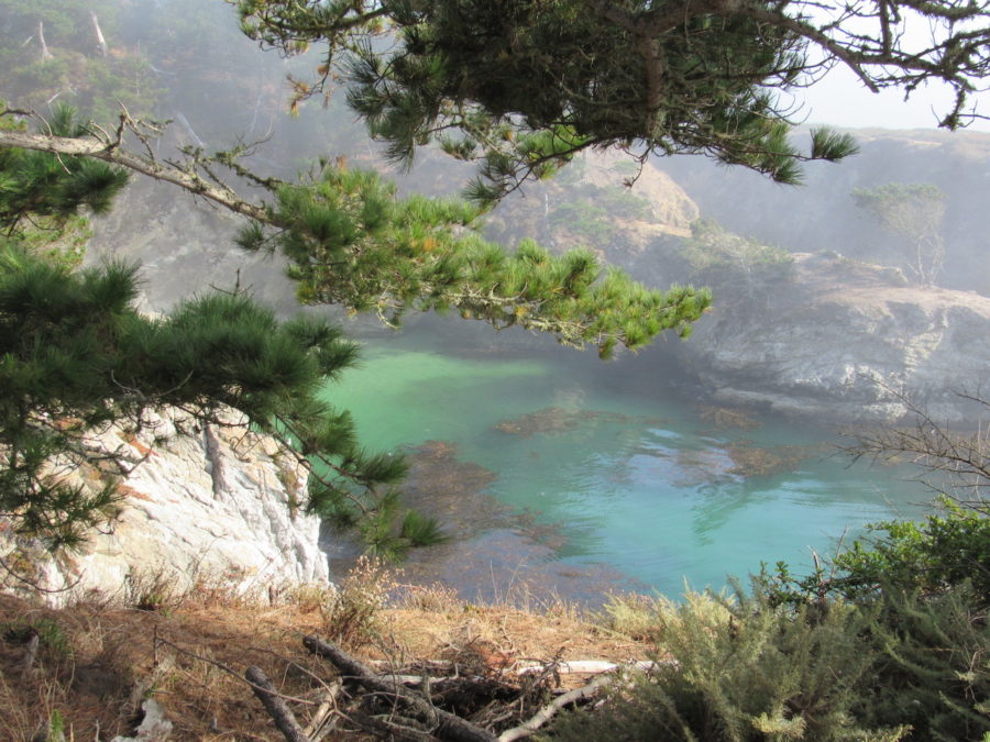 Point Lobos Natural Reserve