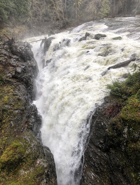 Englishman River Falls is one of the best things to do in Parksville.