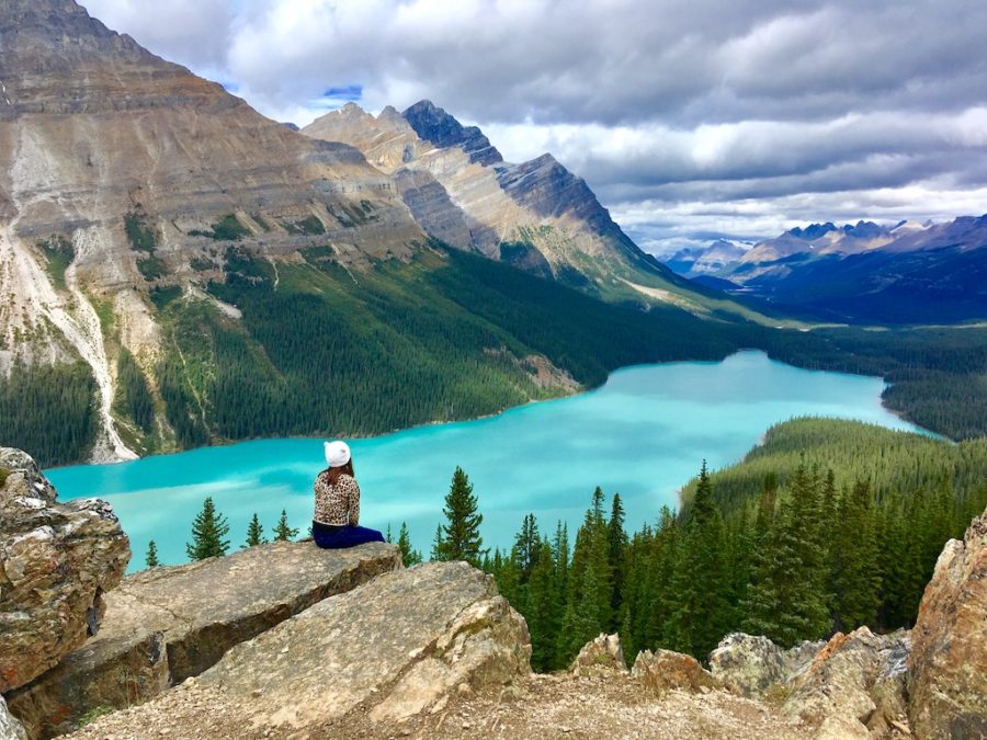 Definitely include Peyto Lake on your 6 day Banff itinerary.