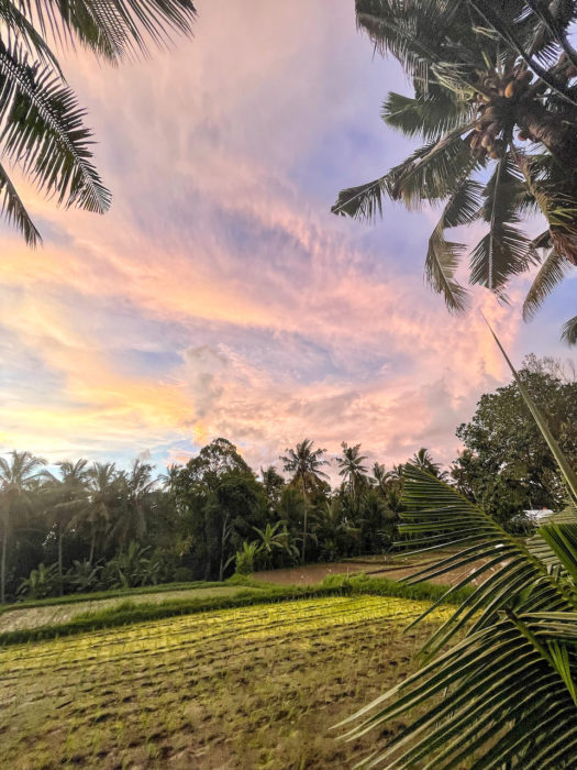 Sunset at Kajeng Rice Fields